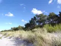 Piaskowe wydmy porośnięte trawami i drzewami, z błękitnym niebem i chmurami w tle. Widok na górę Libek.