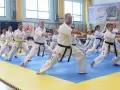 Grupa osób w kimonach ćwiczy karate na niebiesko-żółtej macie w sali gimnastycznej.