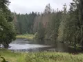 Der Ochsenbacher Teich, umgeben von dichten Nadelwäldern und üppiger Vegetation, lädt zur stillen Einkehr ein.