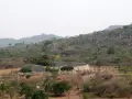 Ruiny Wielkiego Zimbabwe, kamienne mury i pozostałości dawnych budowli w otoczeniu bujnej zieleni i skalistych wzgórz.