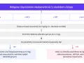Schemat diagnostyki niedokrwistości z niedoboru żelaza u niemowlaka. Wskazuje na badania, dawkowanie żelaza i kontrolę leczenia.