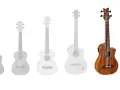 Eine Reihe von Ukulelen und einer Bassgitarre, ideal für die Musikschule.