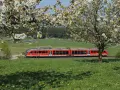 Czerwony pociąg REGIO mija kwitnące drzewa. Może to pociąg do Budapesztu?