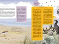 Gdzie leży Bałtyk? Przewodnik po morzu i polskim wybrzeżu