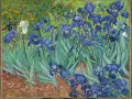 Un jardin d'iris bleus et une iris blanche, baigné de lumière. Une œuvre post-impressionniste vibrante de couleurs.
