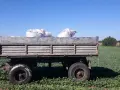 Ile nawozów mineralnych na hektar? Sprawdź, jak zmniejszyć koszty.