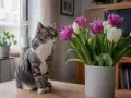 Kot wpatruje się w bukiet tulipanów. Czy tulipany są trujące dla kota? Warto wiedzieć, że tak, są toksyczne dla kotów.