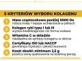 5 kryteriów wyboru kolagenu: masa cząsteczkowa, kolagen rybi, witamina C, certyfikaty, koszt dawki. Poznaj efekty stosowania kolagenu rybiego.