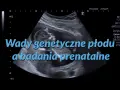 Badanie USG płodu, na którym widać plecy dziecka. Tekst: "Wady genetyczne płodu a badania prenatalne".