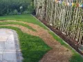 Braune Flecken im Rasen deuten auf zu viel Stickstoff hin. Der Rasen ist ungleichmäßig grün und braun, mit einem Steinweg daneben.