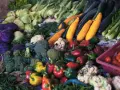 Un étalage coloré de légumes frais : brocolis, poivrons, courgettes, choux, tomates. Un festin pour la santé, plein d'anti inflammatoire naturel.