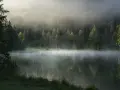 Mglisty poranek nad jeziorem otoczonym lasem, z odbiciem drzew w spokojnej wodzie.