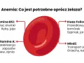 Anemia: co jeść przy anemii? Witamina B12, kwas foliowy, witamina A i miedź wspierają produkcję krwinek.