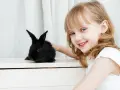 Uśmiechnięta dziewczynka z niebieskimi oczami głaszcze czarnego królika. Który ssak się nie poci? Królik, jak każdy ssak, poci się, ale inaczej niż ludzie.