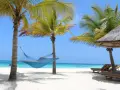 Błękitna hamak między palmami na piaszczystej plaży, z leżakami i oceanem w tle. Idealne miejsce na relaks w Zanzibarze.