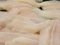 Panga i tilapia: Czy warto je jeść? Ryzyko i zdrowe wybory