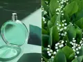 Zielona butelka perfum konwaliowych na tle wodnych refleksów i bujnych, zielonych liści z białymi dzwoneczkami konwalii.