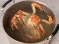 Buey de mar cocinándose en una olla grande con agua hirviendo.