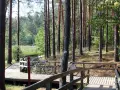 Dwie rowery czekają na przygodę na drewnianej kładce. Trasa rowerowa Roztocze zaprasza do odkrywania leśnych zakątków.