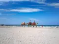 Djerba czy warto jechać? Piękna plaża, błękitne niebo i wielbłądy na piasku. Idealne miejsce na wakacje.