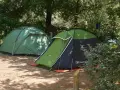 Dwie zielone namioty na piaszczystym podłożu, otoczone drzewami. Idealne miejsce na korsyka camping.