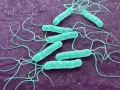 Helicobacter pylori w ustach: 7 objawów, których nie znasz
