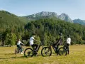 Grupa przyjaciół na rowerach górskich cieszy się pięknymi widokami Tatr. Velo Tatry to idealne miejsce na aktywny wypoczynek.