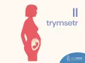 Sylwetka kobiety w ciąży z widocznym płodem. Napis "II trymestr" informuje o tym etapie.