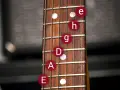 Gitarrenhals mit e-Bass beschriftung. Noten E, A, D, G, H, e sind auf den Saiten markiert.