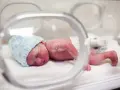 Maleńki noworodek, dziecko urodzone w 20 tygodniu ciąży, w inkubatorze, w niebieskiej czapeczce.