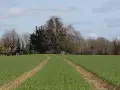 Zielona łąka z dwoma śladami opon, prowadzącymi do zabudowań. Brak planu zagospodarowania przestrzennego sugeruje swobodny rozwój krajobrazu.