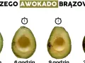 Awokado w lodówce? Kiedy tak, a kiedy nie! Sekret świeżości
