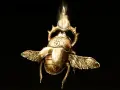 Un escarabajo dorado con alas, símbolo de todos los talismanes legendarios de Elden Ring, brilla con una luz etérea.