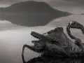 Szkielet ptaka na tle jeziora Natron. Woda odbija góry, tworząc surrealistyczny krajobraz. Jezioro Natron, znane z konserwujących właściwości, zachowuje szczątki zwierząt.