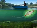 Ein Angler im Boot wirft eine Leine aus. Unter Wasser schnappt ein Hecht nach einem Köderfisch, der wie ein Feuerball aussieht.