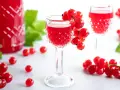 Rote Johannisbeeren schnaps ansetzen: Ein Glas mit rotem Likör, garniert mit frischen Beeren, daneben eine Flasche und weitere Johannisbeeren.