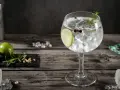 Orzeźwiający gin z tonikiem, udekorowany plasterkiem limonki, gałązką rozmarynu i ziarnami pieprzu. Idealny na letnie wieczory.