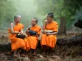 Three young monks in orange robes laugh heartily while holding alms bowls. They are sitting on a fallen log in a serene, misty forest.