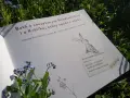Otwarta książka z tytułem "Baśń o zaczytanym Niedźwiedziu i o Króliku, który spadł z nieba" leży na trawie wśród niezapominajek.