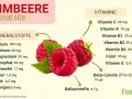 Himbeeren sind gesund! Sie enthalten viele Vitamine wie C, B1, B2, B6, Folat, E und Beta-Carotin, sowie Mineralstoffe und Ballaststoffe.