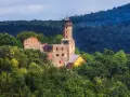 Ruiny zamku w **Zagórzu Śląskim** w otoczeniu bujnej zieleni. Wieża i fragmenty murów wznoszą się pośród drzew.