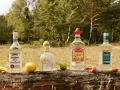 Vier Flaschen Tequila, darunter Jose Cuervo Especial Silver, Sierra Tequila Silver und Olmeca Tequila Blanco, liegen auf einem Baumstamm. Ein Zitronen- und ein Limettenstück sowie Chilis und Tortilla-Chips vervollständigen das Bild. Ob Tequila gold ode...