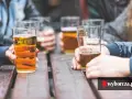 Piwo na nerki: Mit czy prawda? Fakty, których musisz wiedzieć