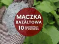 Ręka w rękawicy ogrodniczej trzyma mączkę bazaltową. Czerwone koło z napisem "Mączka bazaltowa - 10 zastosowań w ogrodzie" na tle zielonych liści.