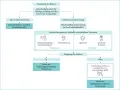 Flussdiagramm zeigt, was ist Sorgerecht: Nach Trennung der Eltern, Einigung oder Antrag beim Familiengericht. Hilfe durch Verfahrensbeistand, Kindesanhörung, Jugendamt, Gutachter.