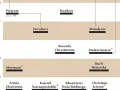 Oś czasu przedstawia rozwój różnych odłamów chrześcijaństwa, w tym pietyzmu, kwakrów, metodyzmu i innych kościołów protestanckich.