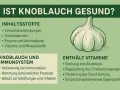 Knoblauch ist gesund! Die Grafik zeigt, dass er Schwefelverbindungen, Antioxidantien, Enzyme, Aminosäuren, Vitamine und Mineralstoffe enthält. Er stärkt das Immunsystem und fördert die Durchblutung.