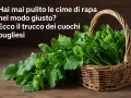 Cime di rapa fresche in un cesto di vimini, pronte per gustose ricette pugliesi.