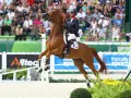 Une cavalière française, tel un papillon, s'envole avec son cheval au-dessus d'une barrière. La flora de mariposa, ici représentée par des fleurs jaunes, borde la piste.