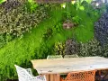 Un jardín vertical exuberante, con un diseño que recuerda al moss graffiti, crea un telón de fondo natural para una mesa de madera y sillas coloridas.